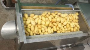 پوست کن سبب زمینی