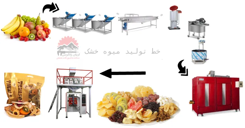 راه اندازی خط تولید میوه خشک در ایران