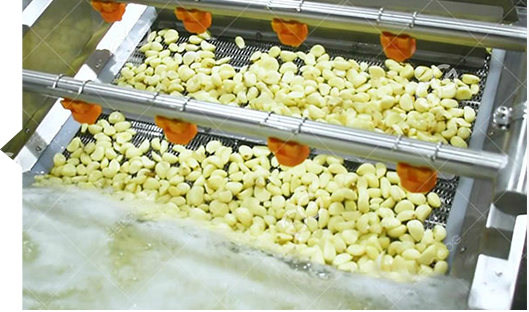 تجهیزات مورد نیاز برای خط تولید پودر سیر