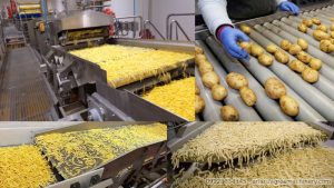 ۱۰ نکته کلیدی مهم برای موفقیت در صنعت تولید فرنچ فرایز