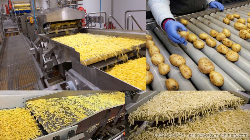 ۱۰ نکته کلیدی مهم برای موفقیت در صنعت تولید فرنچ فرایز