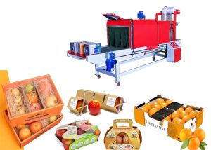 بسته بندی محصولات کشاورزی