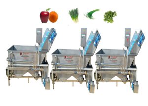 مزایای استفاده از دستگاه شستشوی میوه و سبزی در کارخانه های مواد غذایی